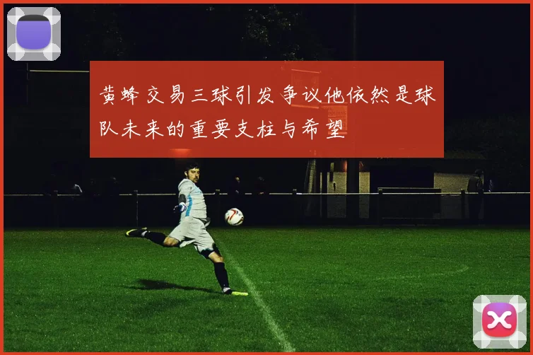 黄蜂交易三球引发争议他依然是球队未来的重要支柱与希望