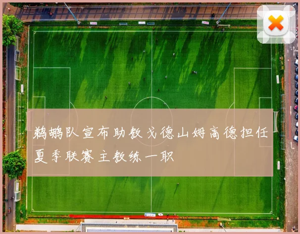 鹈鹕队宣布助教戈德山姆高德担任夏季联赛主教练一职